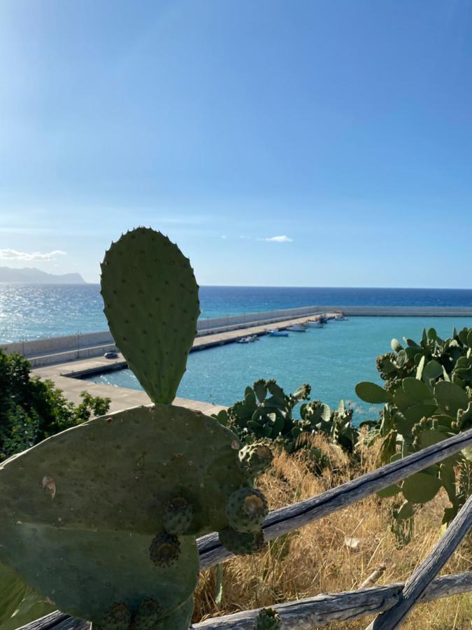 Casa Vacanze Il Girasole Balestrate Zewnętrze zdjęcie